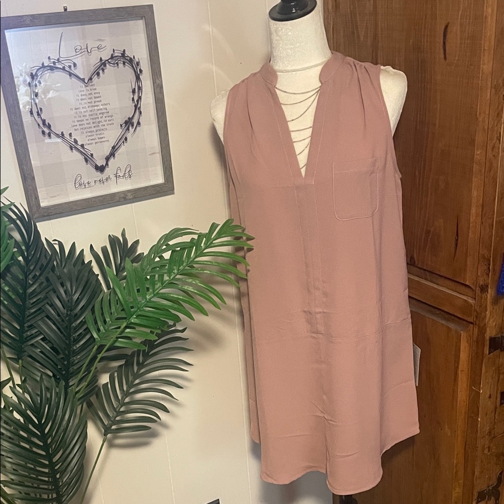 Lush Blush Pink Sleeveless Dress
